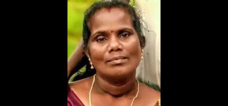 സംസ്ഥാനത്ത് പലയിടത്തും ശക്തമായ മഴ; പാണാവള്ളിയില്‍ തെങ്ങ് വീണ് വീട്ടമ്മ മരിച്ചു